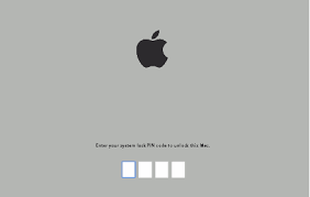 pass code lock removal 